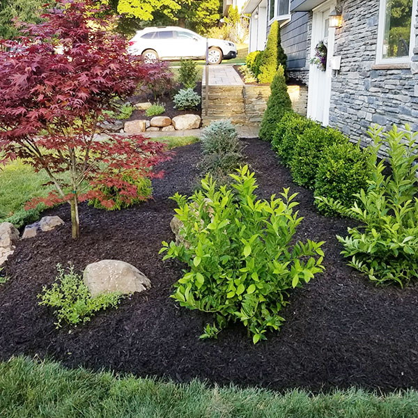 landscaping-maintenance-Union-County