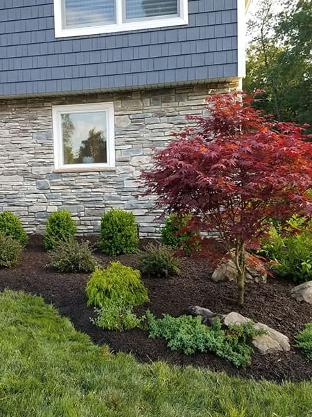 landscaping-services-Union-County