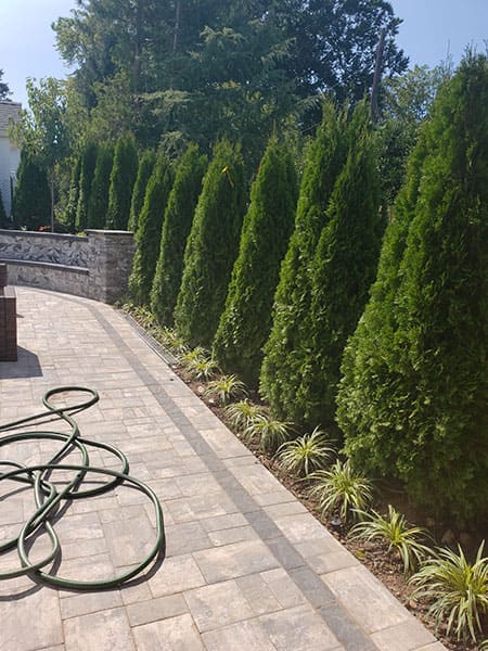 landscaping-services-Union-County